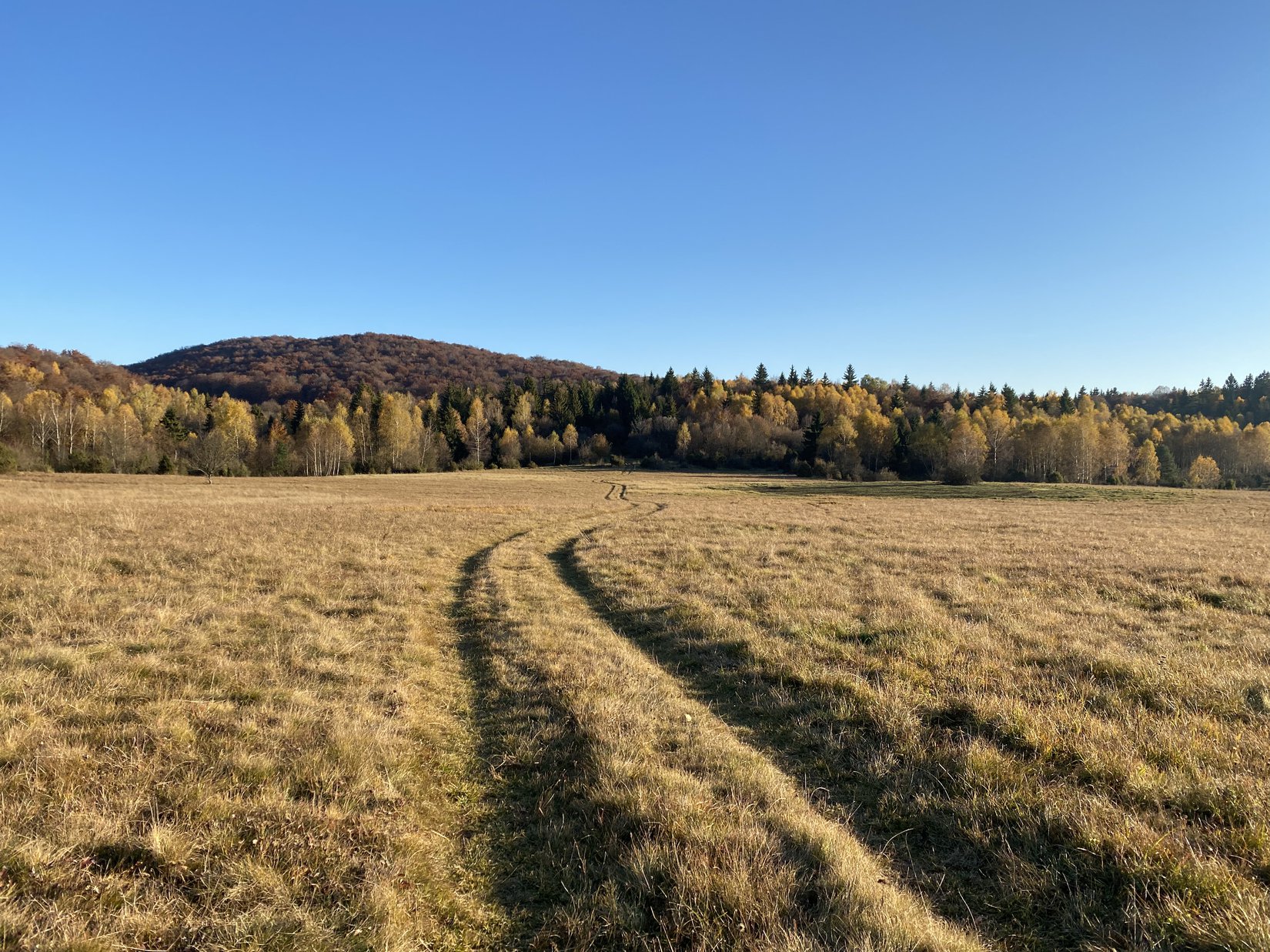 Plešivecká planina