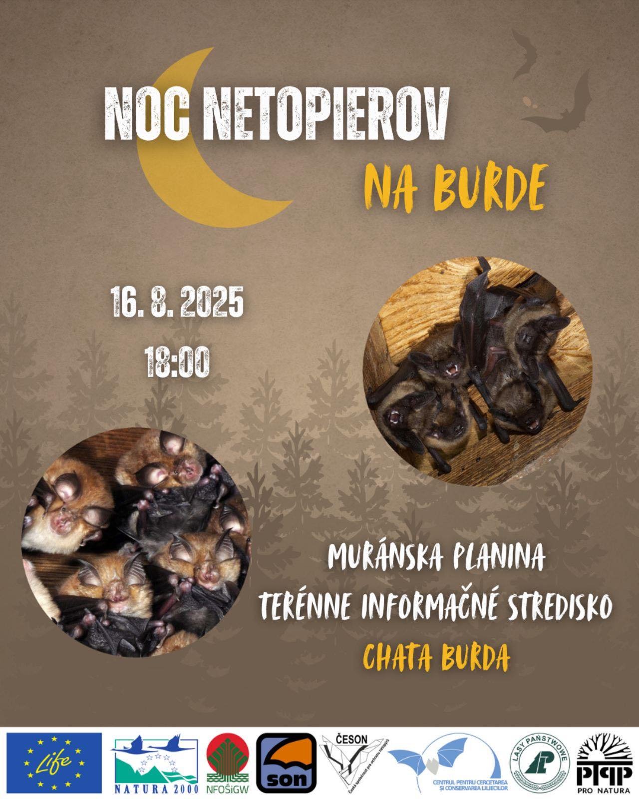 Plagát noc netopierov