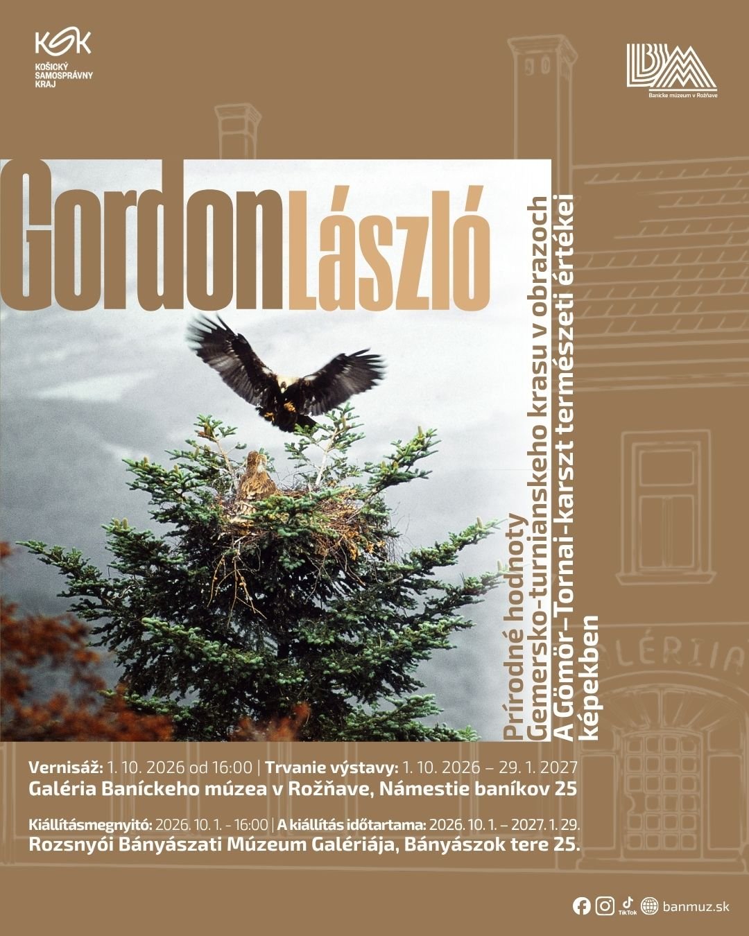 Gordon socials