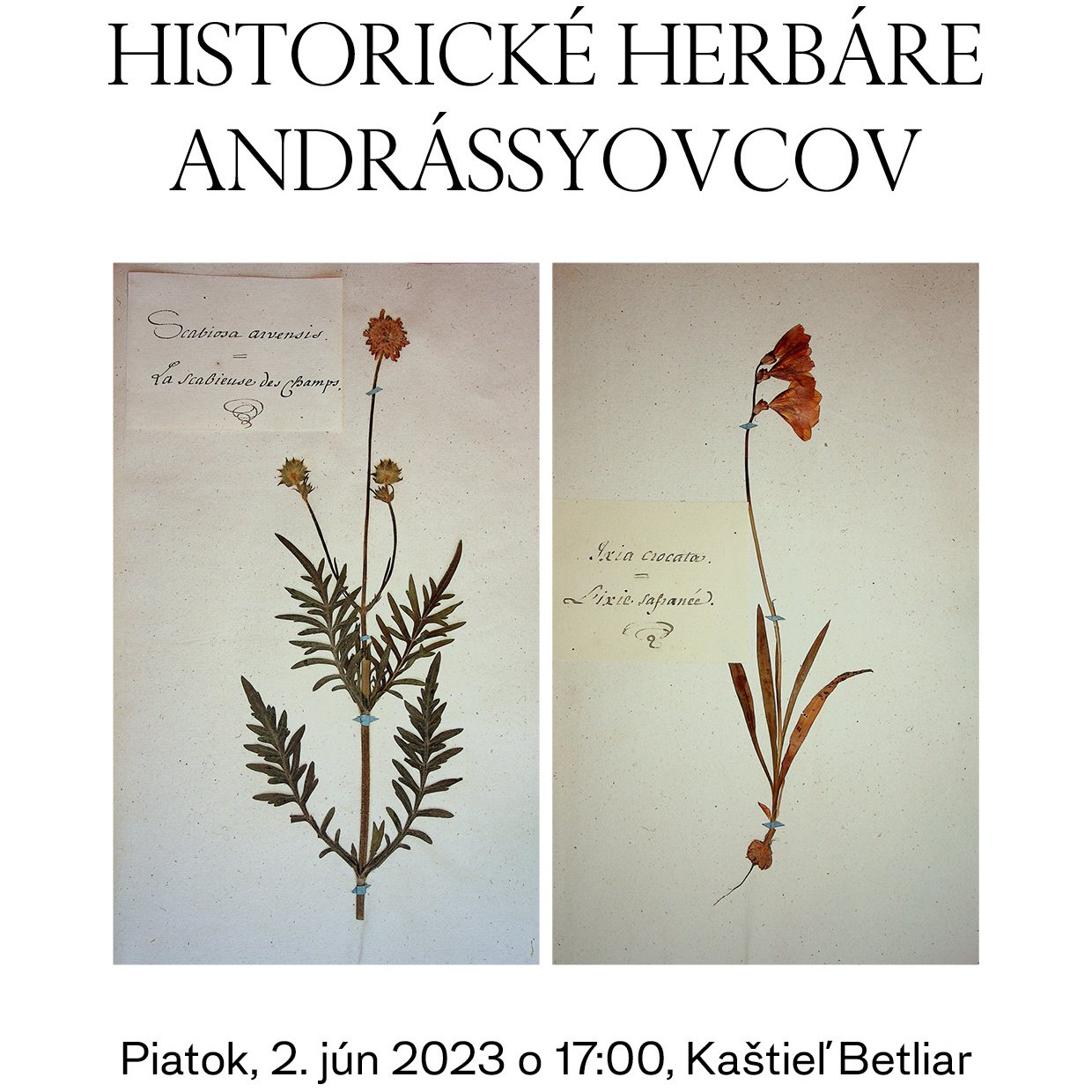 Historické herbáre Andrássyovcov