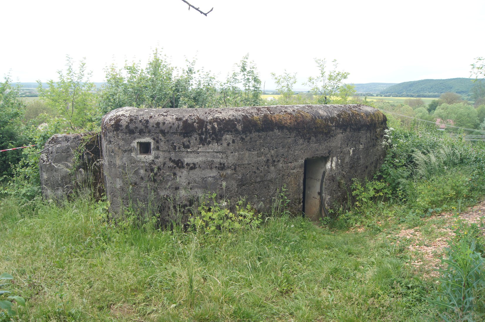 Bunker v Bretke