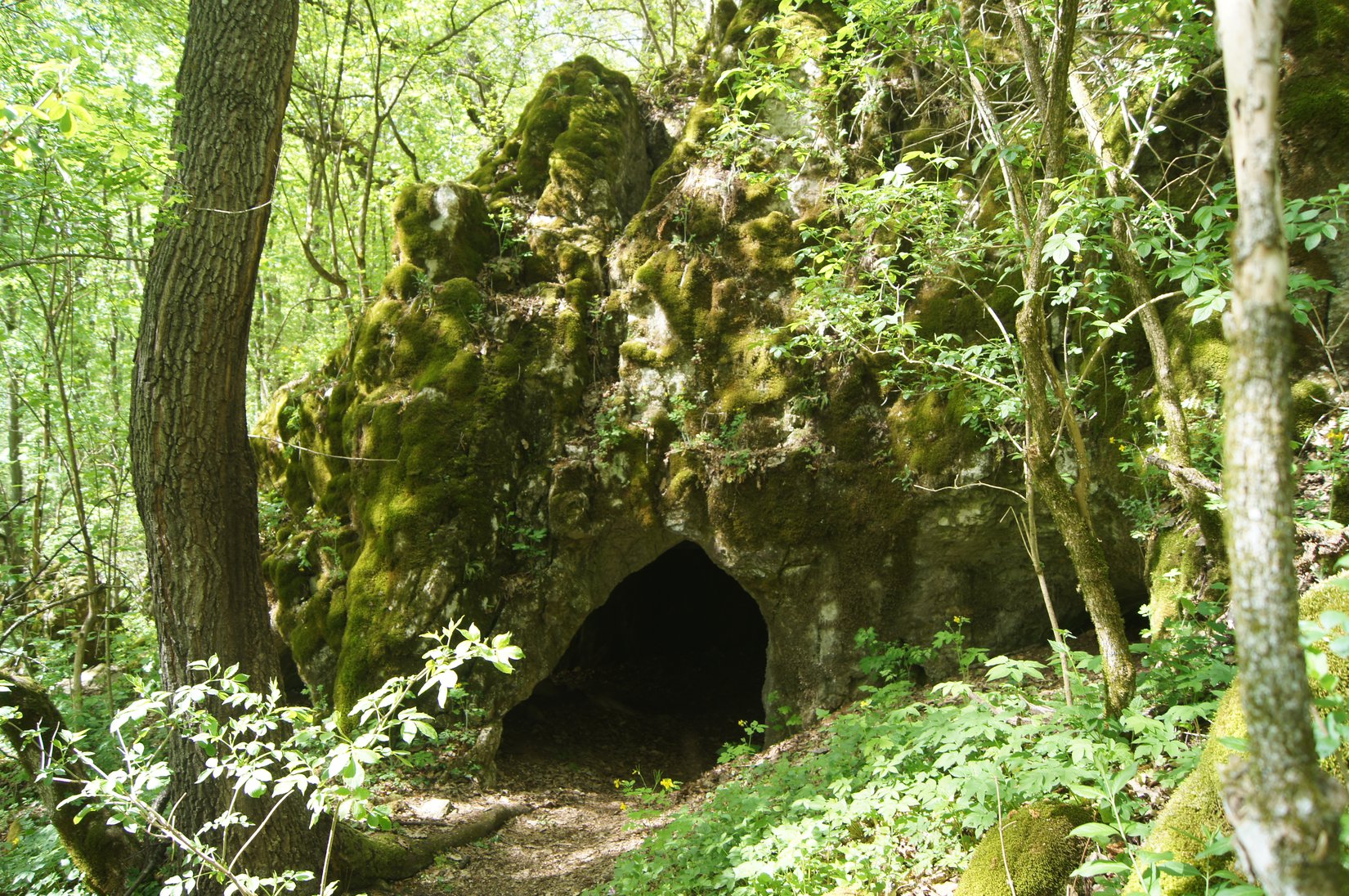 Malá drienčanská jaskyňa